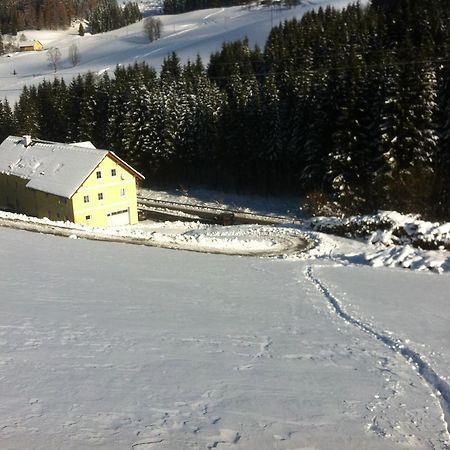 Pension Postl Steinhaus am Semmering Exterior foto