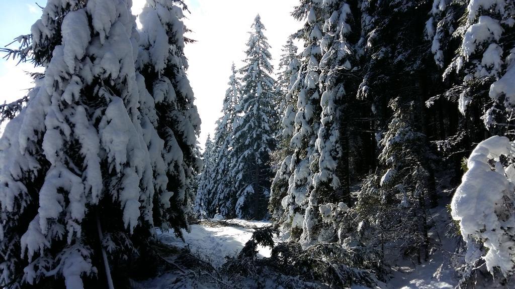 Pension Postl Steinhaus am Semmering Exterior foto